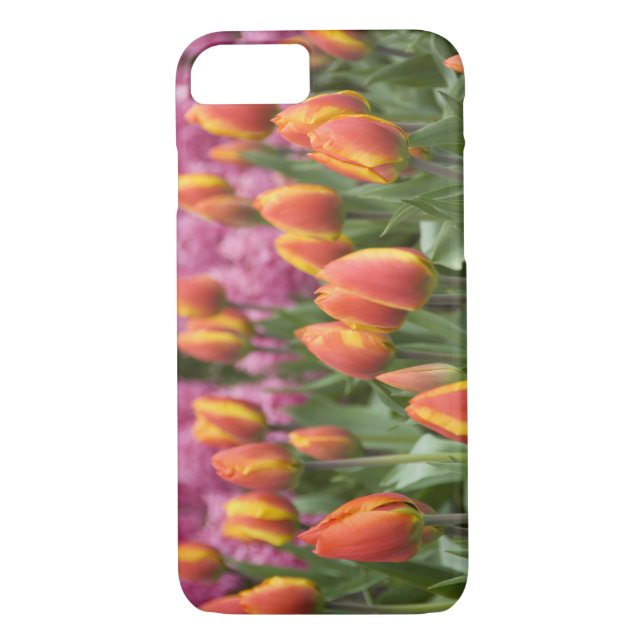 Funda De Case-Mate Para iPhone Países Bajos (alias Holanda), Lisse. Keukenhof (Reverso)