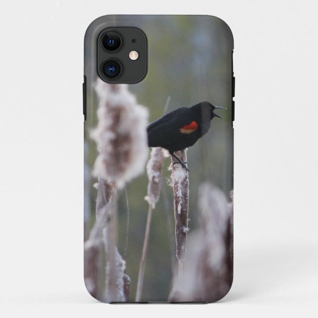 Funda De Case-Mate Para iPhone Pajarita de alas rojas (Agelaius phoeniceus) (Reverso)