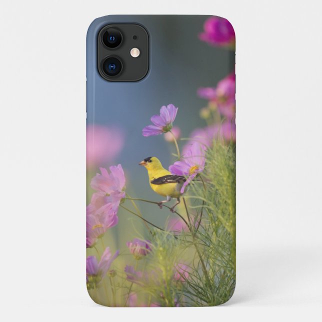 Funda De Case-Mate Para iPhone Pájaro amarillo en las flores (Reverso)