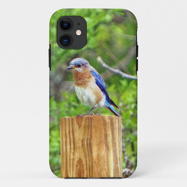 Funda De Case-Mate Para iPhone Pájaro azul en una valla (Reverso)