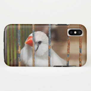 Funda Para iPhone XS Pájaro finco lindo en jaula