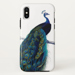 title_seo2 Pájaro real colorido elegante azul del pavo real