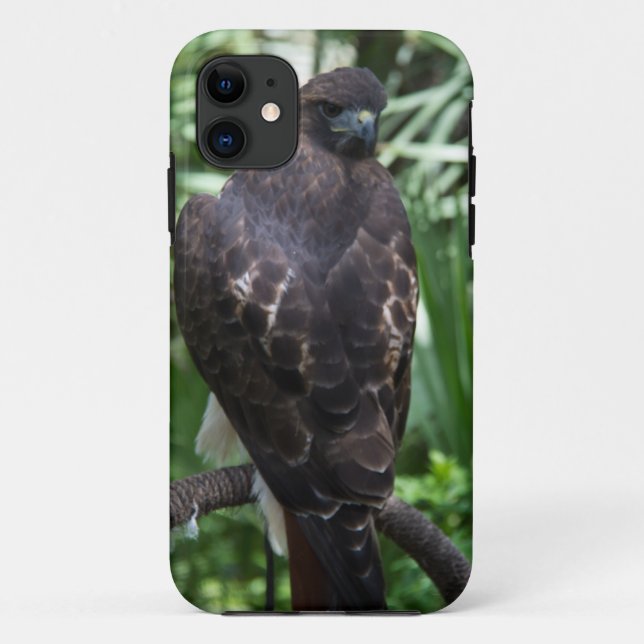 Funda De Case-Mate Para iPhone Pájaro Red Tail Hawk (Reverso)