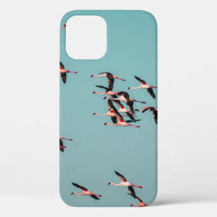 FUNDA PARA iPhone 12 PÁJAROS NEGROS Y BLANCOS