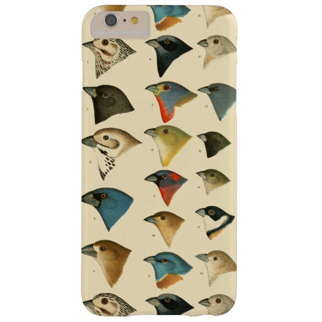 Funda De Case-Mate Para iPhone Pájaros norteamericanos (Reverso)