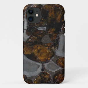 Funda Para iPhone 11 Pallasite
