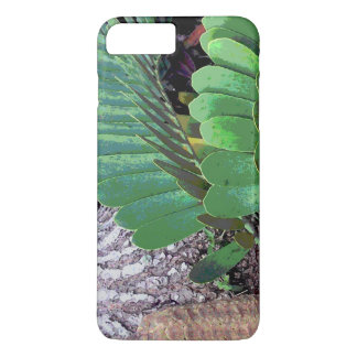title_seo2 Palm de cartón (Planta de cartón)