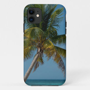 Funda Para iPhone 11 Palmera y playa de arena blanca 2