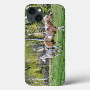 Funda Para iPhone 13 Palomino Paint & White Horse, amantes de caballos