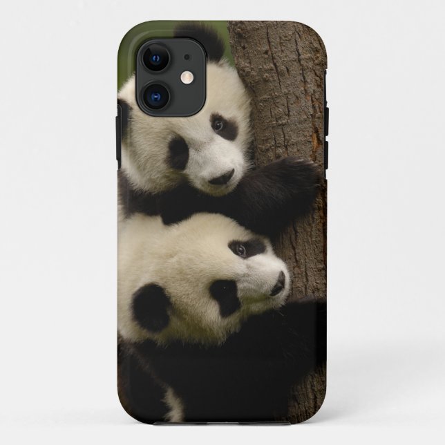 Funda De Case-Mate Para iPhone Panda bebés gigantes (Ailuropoda melanoleuca) 2 (Reverso)
