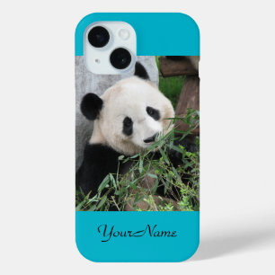 title_seo2 Panda gigante, azul, nombre,