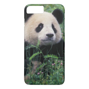 Funda Para iPhone 8 Plus/7 Plus Panda gigante en la hierba, Valle de Wolong, Sichu