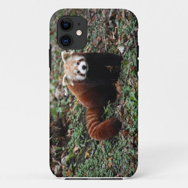 Funda De Case-Mate Para iPhone Panda roja (Reverso)