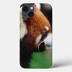 Funda Para iPhone 13 Panda roja