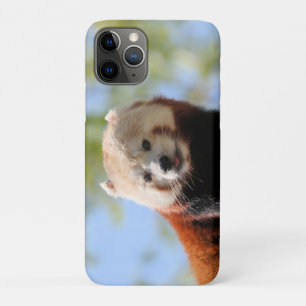 Funda Para iPhone 11 Pro Panda rojo