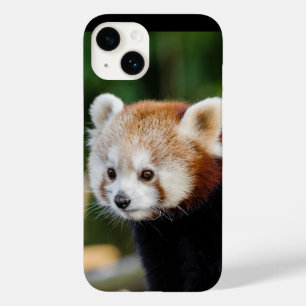 Funda Para iPhone 14 De Case-Mate Pandá rojo animal salvaje