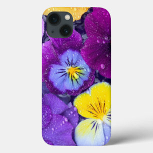 Funda Para iPhone 13 Pansy flowers floating in bird bath with dew 2