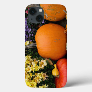 title_seo2 Pantalla decorativa de calabaza colorida de otoño