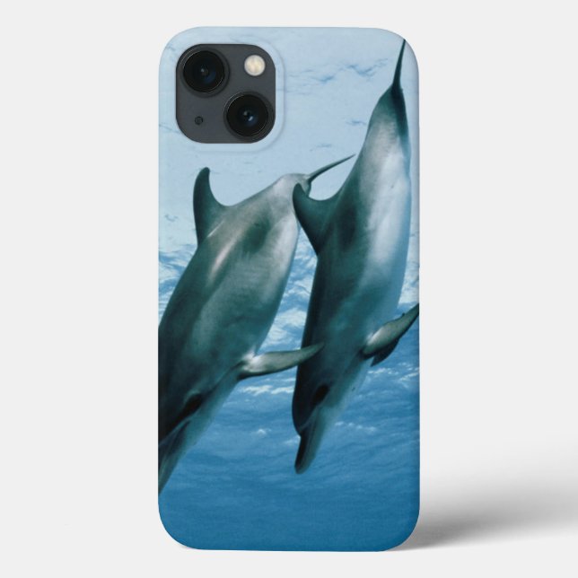 Funda De Case-Mate Para iPhone Par de delfines (Reverso)