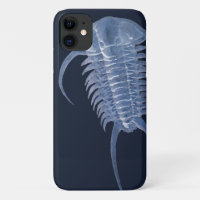 Paraceraurus trilobita azul ghostal