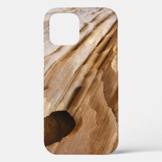 Funda Para iPhone 12 Pared del cañón de Zion Resumen de fotografía de l