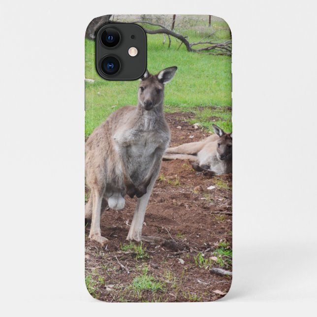 Funda De Case-Mate Para iPhone Pareja australiana canguro, (Reverso)
