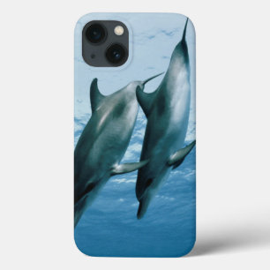 Funda Para iPhone 13 Pareja de delfines