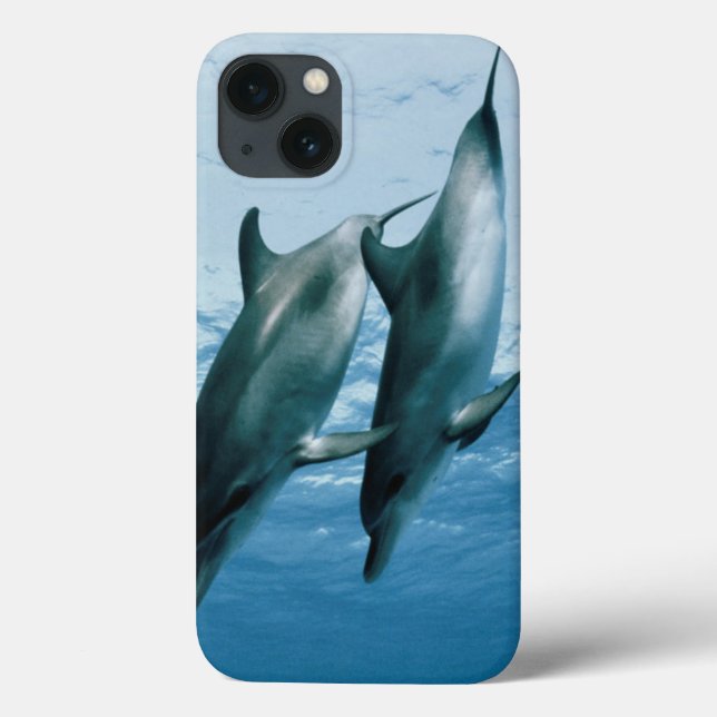 Funda De Case-Mate Para iPhone Pareja de delfines (Reverso)