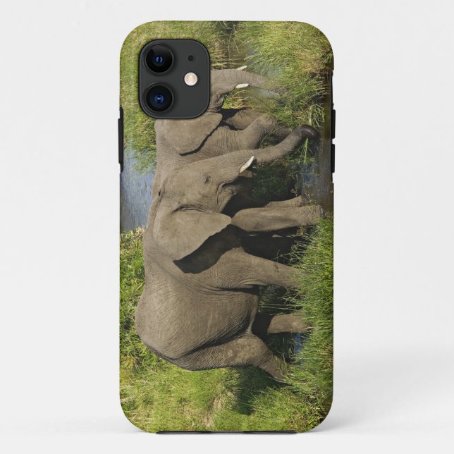 Funda De Case-Mate Para iPhone Pareja de elefantes africanos Masai Mara (Reverso)