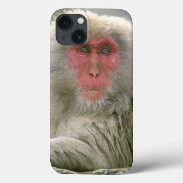 Funda De Case-Mate Para iPhone Pareja de monos de nieve, macaco japonés, (Reverso)