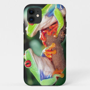 Funda Para iPhone 11 Pareja de ranas de ojos rojos, Agalychinis callidr
