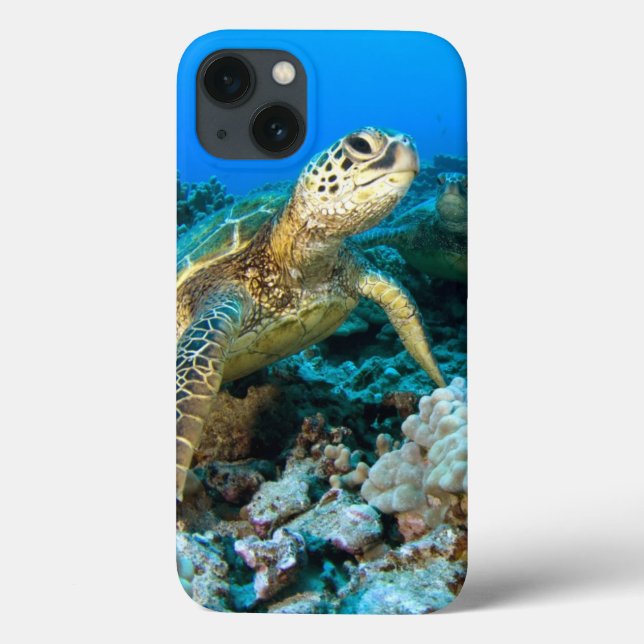 Funda De Case-Mate Para iPhone Pareja de tortugas (Reverso)
