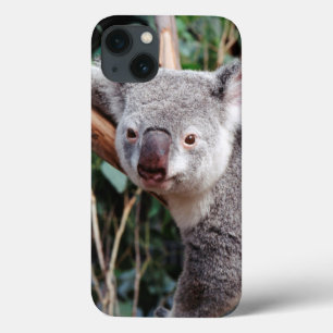 Funda Para iPhone 13 Parque de la fauna de Featherdale, osos de koala