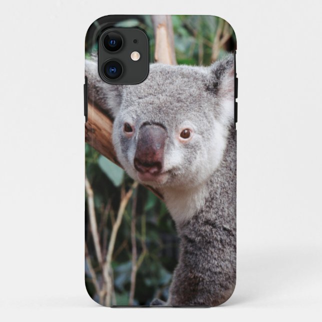 Funda De Case-Mate Para iPhone Parque de vida silvestre Featherdale, Koala Bears (Reverso)