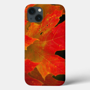 Funda Para iPhone 13 Parque Estatal Itasca, Colores Caídos 2