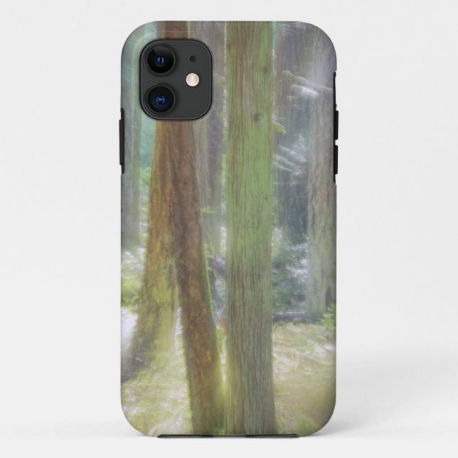 Funda De Case-Mate Para iPhone Parque Estatal Playa Scenic (Reverso)