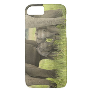 title_seo2 Parque Nacional Corbett, Uttaranchal, India.