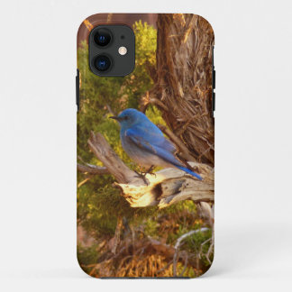 Funda Para iPhone 11 Parque nacional de Arches