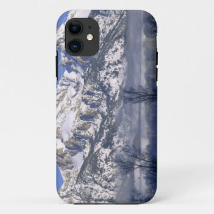 Funda Para iPhone 11 PARQUE NACIONAL GRAND TETON, WYOMING. EE. UU. Nieb