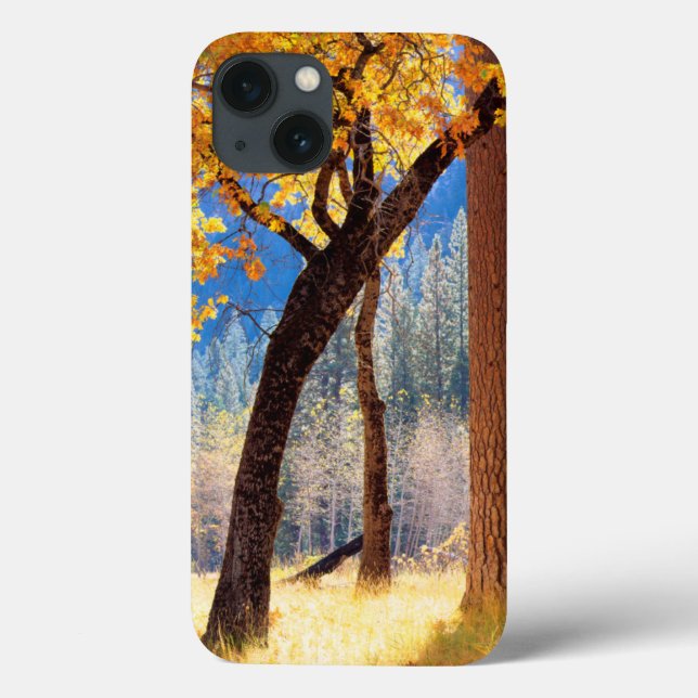Funda De Case-Mate Para iPhone Parque Nacional Yosemite (Reverso)