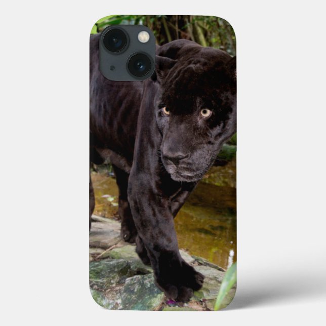 Funda De Case-Mate Para iPhone Parque zoológico de la ciudad de Belice. Pantera (Reverso)
