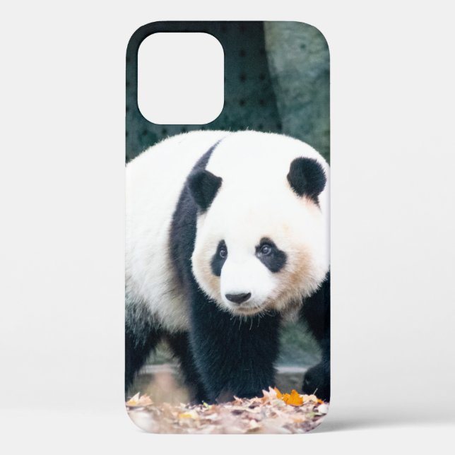 FUNDA DE Case-Mate PARA iPhone PASEANDO POR PANDA FRENTE AL EDIFICIO CONCRETO (Reverso )
