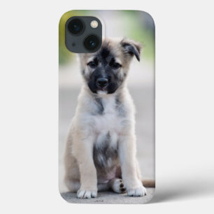 Funda Para iPhone 13 Pastor alemán cachorro al pie