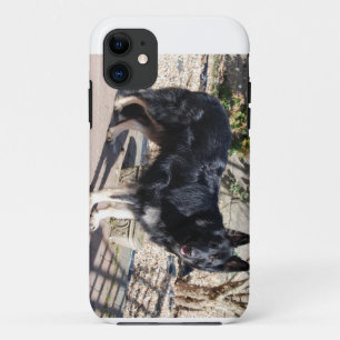 Funda Para iPhone 11 pastor alemán negro full.png