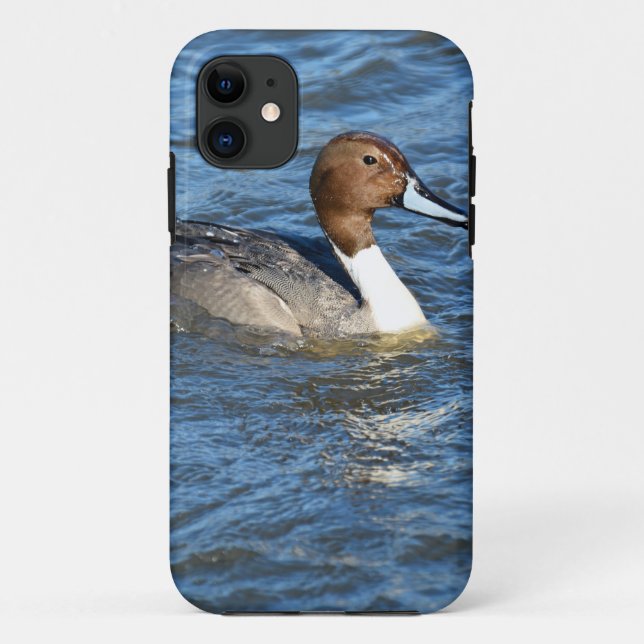 Funda De Case-Mate Para iPhone Pato de pintail del norte (Reverso)