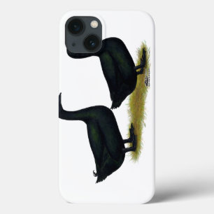 Funda Para iPhone 13 Patos: Cayugas negro