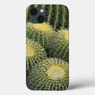 title_seo2 Patrón de cactus