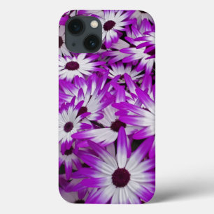 Funda Para iPhone 13 Patrón de flores, Jardines Kuekenhof, Lisse,