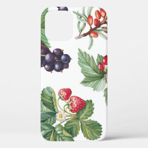 Funda Para iPhone 12 Patrón sin problemas de color de agua Berries Ilus