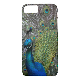 Funda Para iPhone 8/7 Pavo real